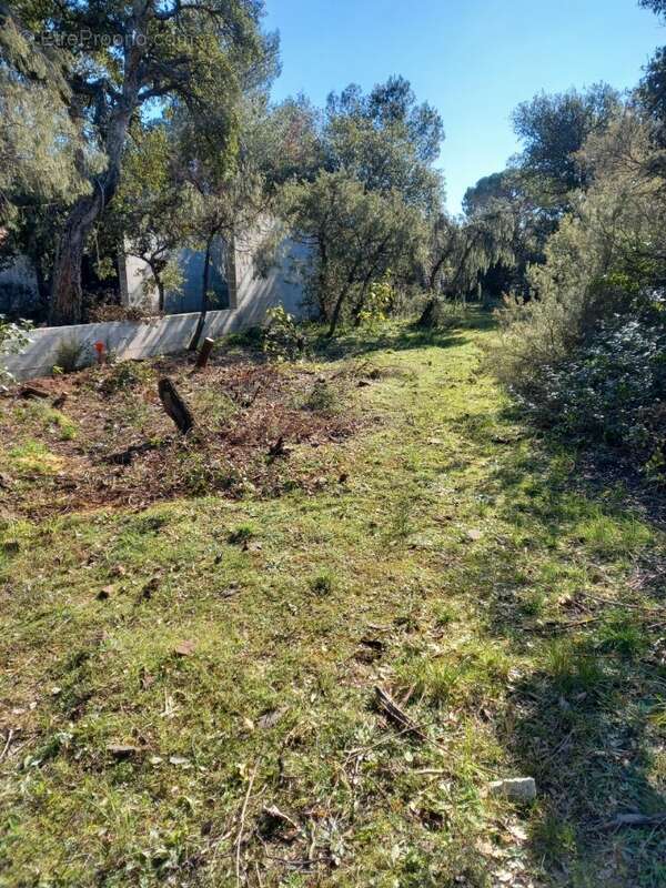 Terrain à LE CANNET-DES-MAURES