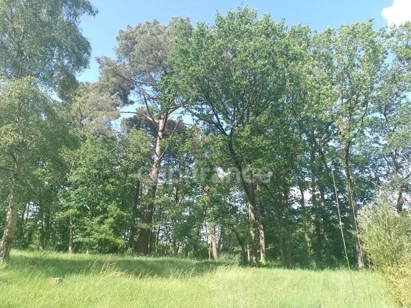 Maison à SILLE-LE-PHILIPPE