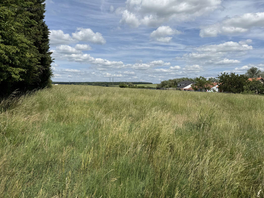Terrain à CHAILLY-LES-ENNERY