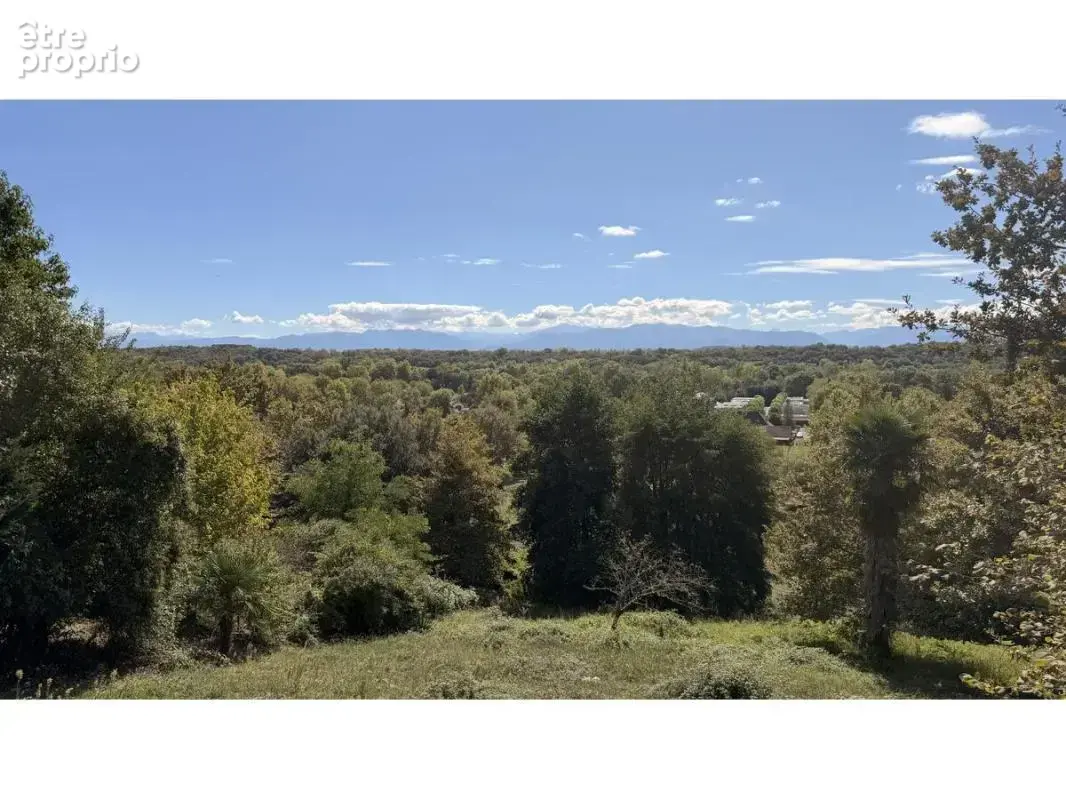 Terrain 2 000 m² à vendre à Bizanos (64320) - photo 5