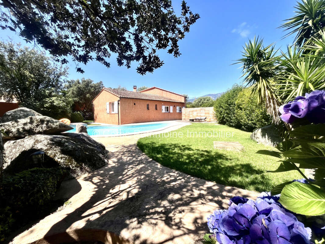 Maison à PORTO-VECCHIO