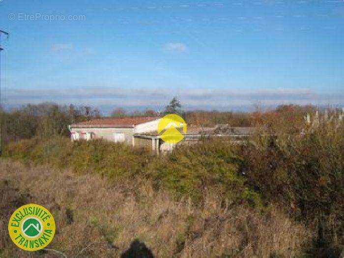 Terrain à SAINT-AIGNAN