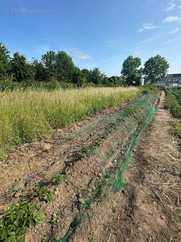 Terrain à BAPAUME