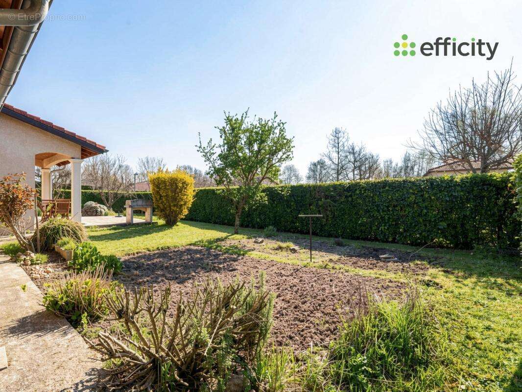 Maison à L'ISLE-D'ABEAU