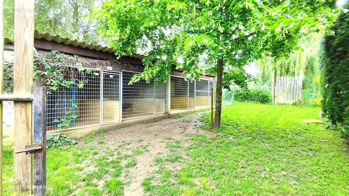 Maison à SAINT-DIDIER-SUR-CHALARONNE