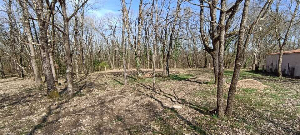 Terrain à MONDONVILLE