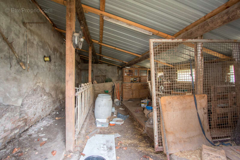 Dpt Rhône (69), à vendre AVEIZE,  Ferme, 4 chambres et nombreuses dépendances - photo 35