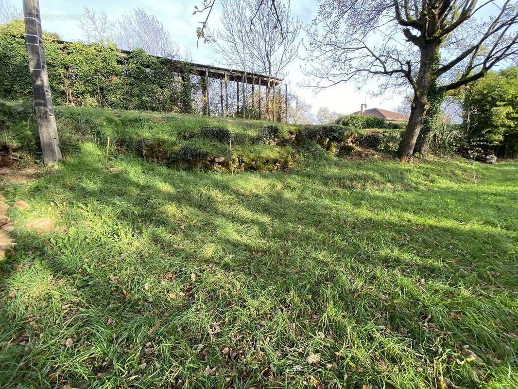 Rare, votre futur nid douillet face aux bois et au château : projet prêt à bâtir - photo 10