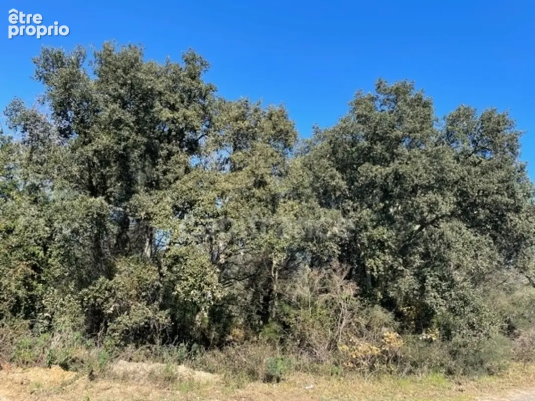 Var (83), à vendre GASSIN Terrain Agricole Zone AOC environ 17 000 m² (1 ha 7a) (31 euros/m2) - photo 2