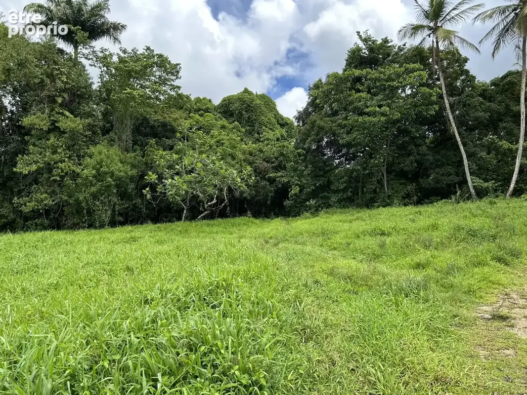 Terrain constructible 650 m² — Beau Soleil, Les Abymes — Grands Fonds, secteur calme - photo 6