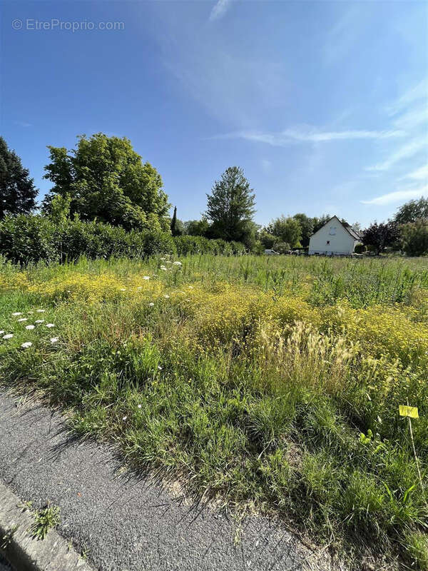 Terrain à SAINT-VAAST-DE-LONGMONT