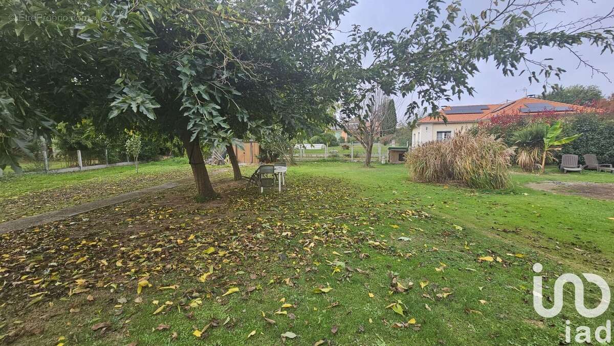 Photo 3 - Maison à MONTESQUIEU-VOLVESTRE