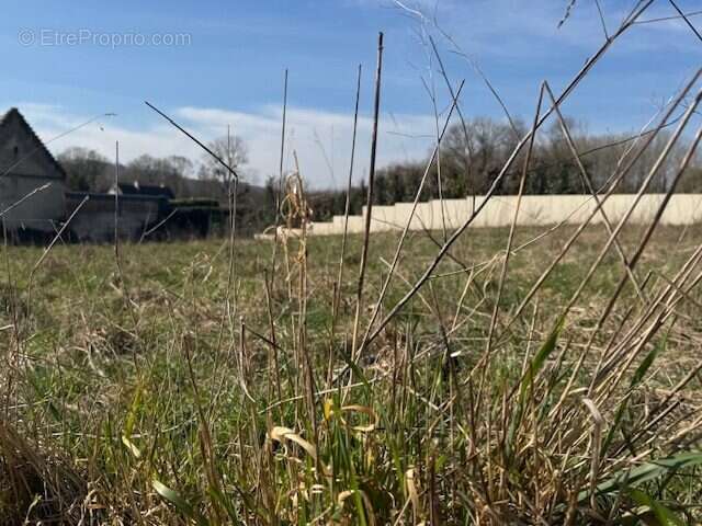 Terrain à SEPTMONTS