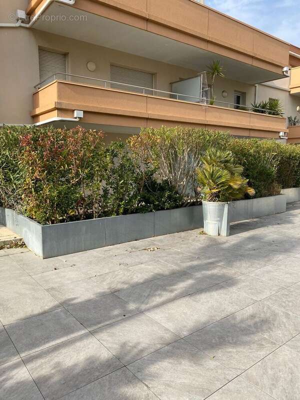 Appartement 48 m² à Canet-En-Roussillon  - photo 9
