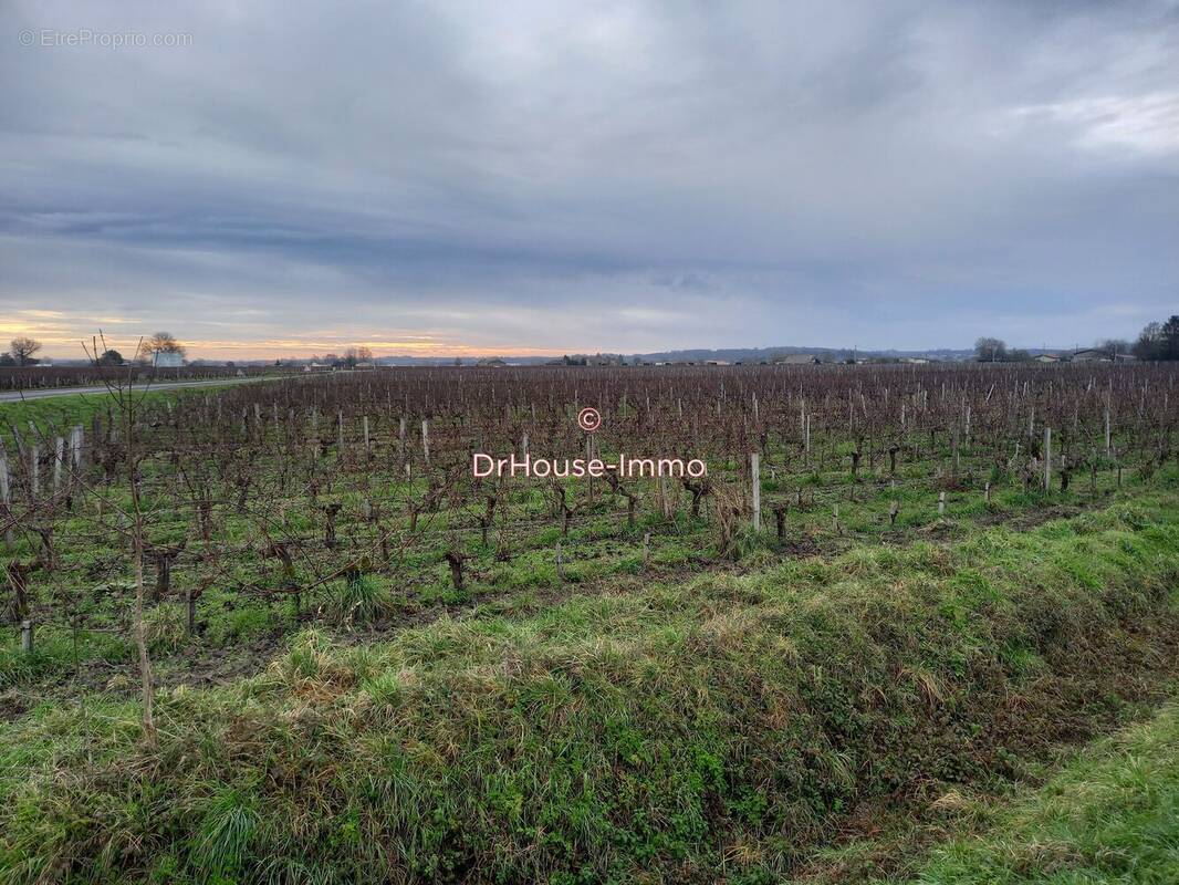 Terrain à SAINT-SULPICE-DE-FALEYRENS