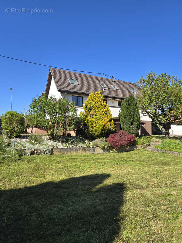 Maison à ZIMMERSHEIM