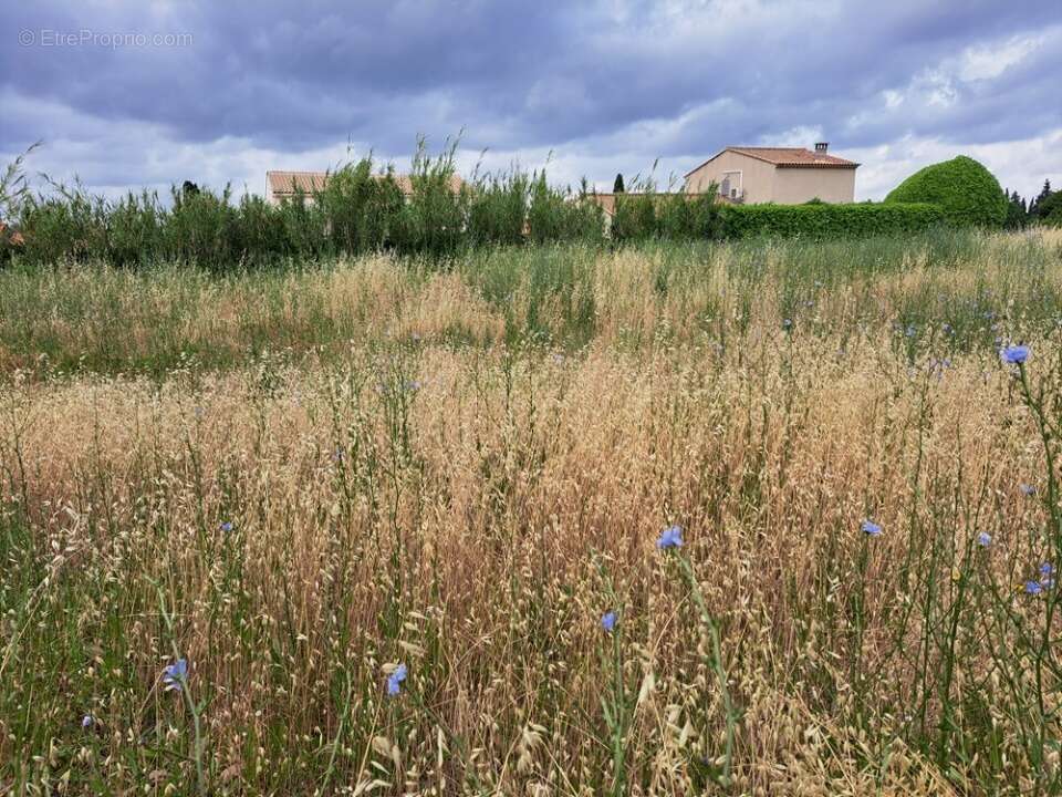 Terrain 330 m² à Lambesc  - photo 2