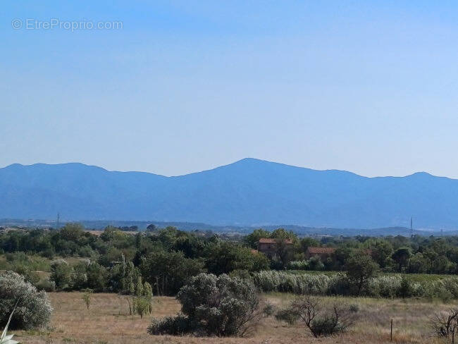 Terrain à PERPIGNAN