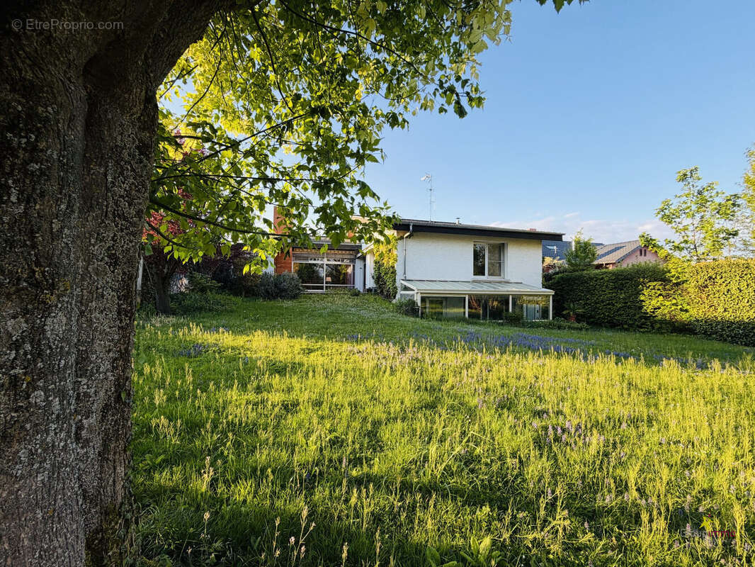 Maison à GEISPOLSHEIM
