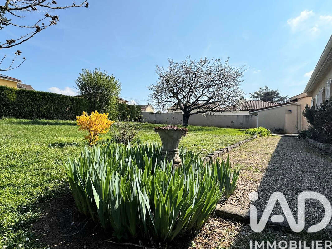 Photo 3 - Maison à SURY-LE-COMTAL