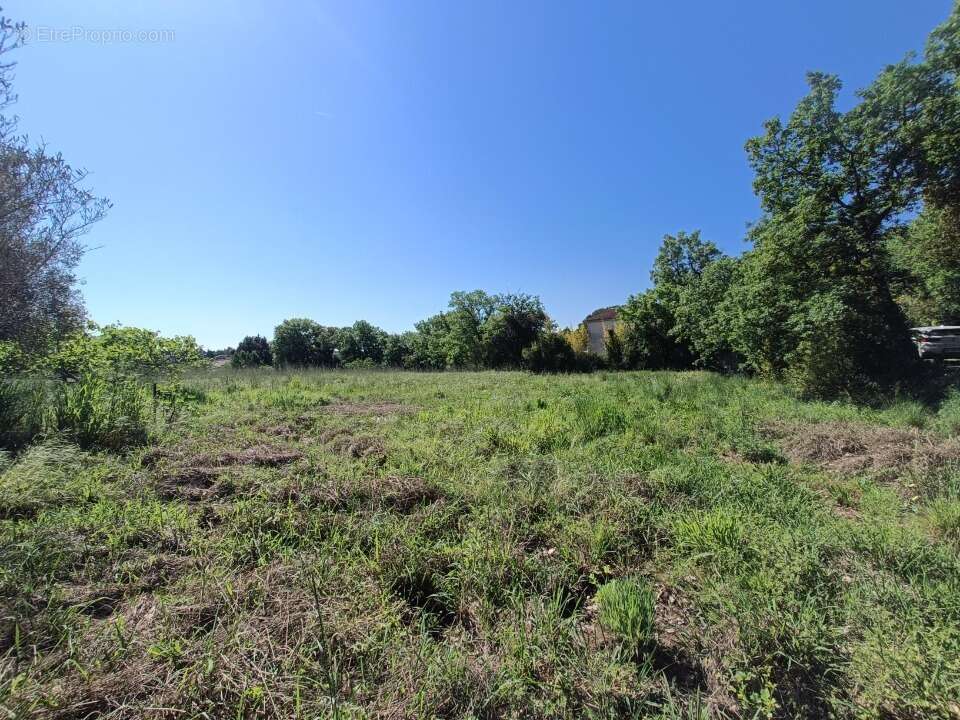 Terrain à PUGET-SUR-ARGENS