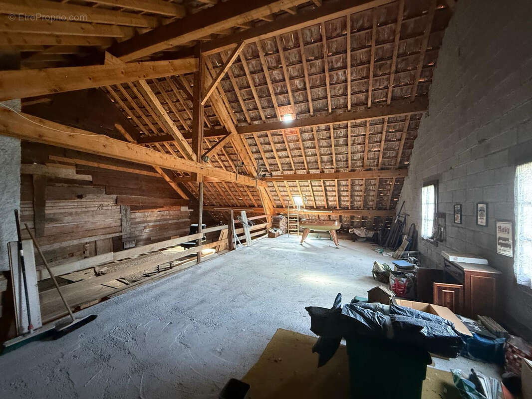 Saint-Jean-De-Tholome - Maison de 180m2 7 pièces - à vendre - photo 11