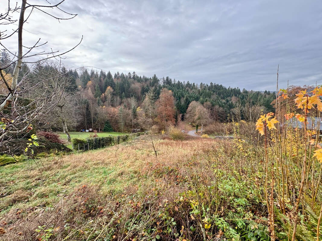 Terrain à SOLBACH