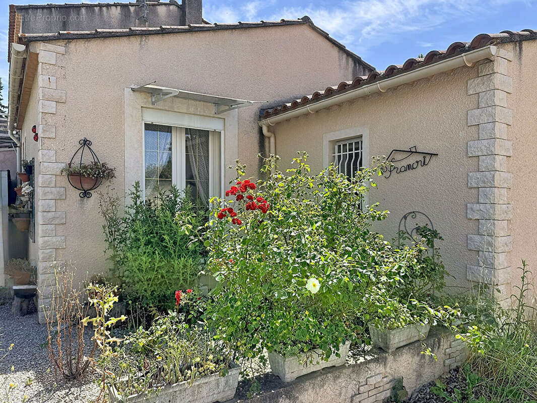 Maison T2bis 60m² avec jardin Entraigues Sur La Sorgue - photo 8