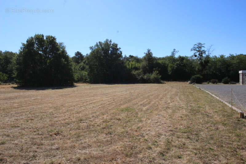 Terrain à CHATELLERAULT