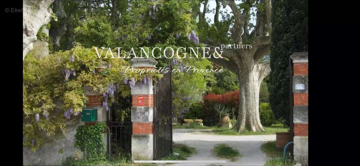 Authentique Mas Provençal - photo 4