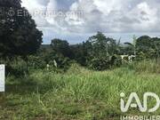 Photo 1 - Terrain à SAINTE-ROSE