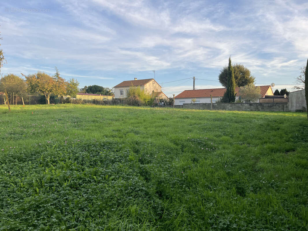 Terrain à LA ROCHE-SUR-YON