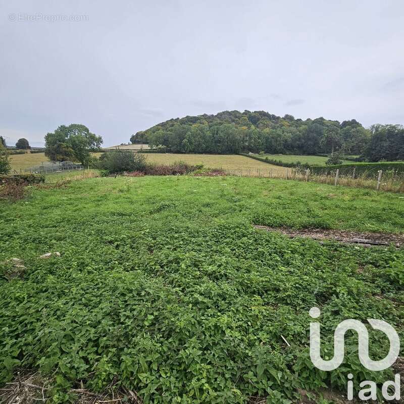 Photo 2 - Maison à RIEUX