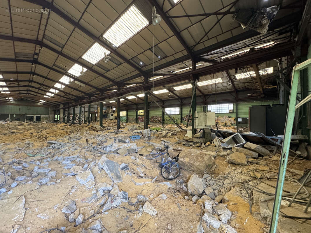 Commerce à DAMMARIE-LES-LYS