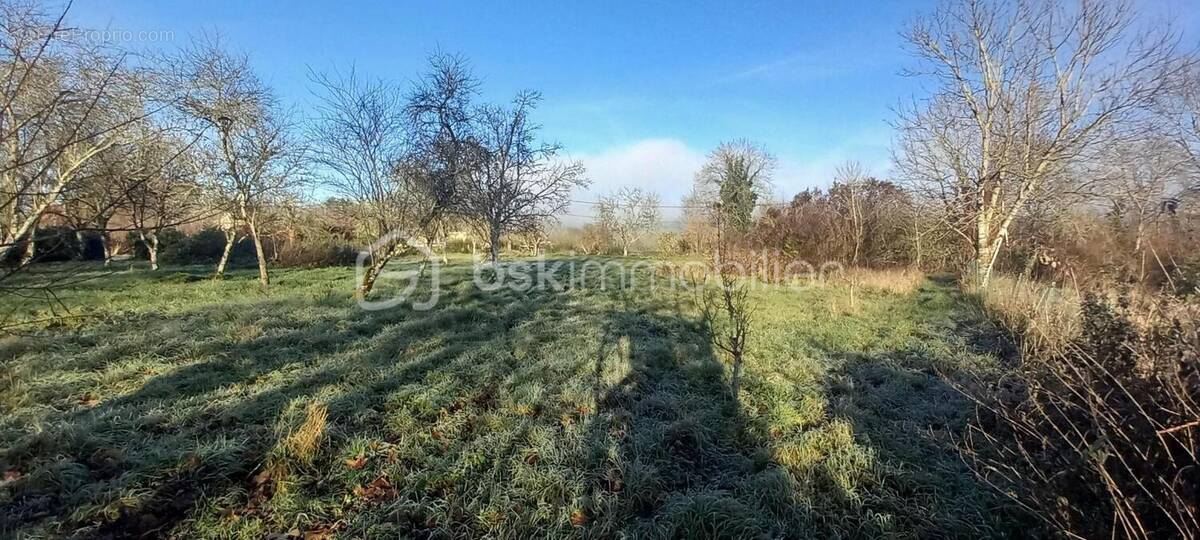 Terrain à ROLAMPONT