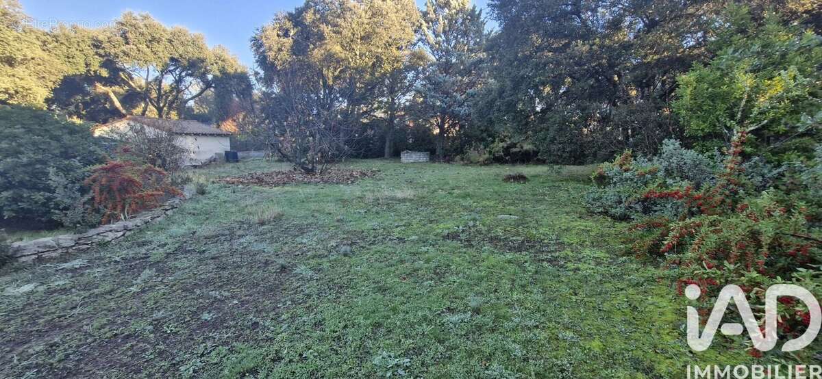 Photo 2 - Terrain à VILLEVIEILLE