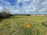 Terrain à TALMONT-SAINT-HILAIRE