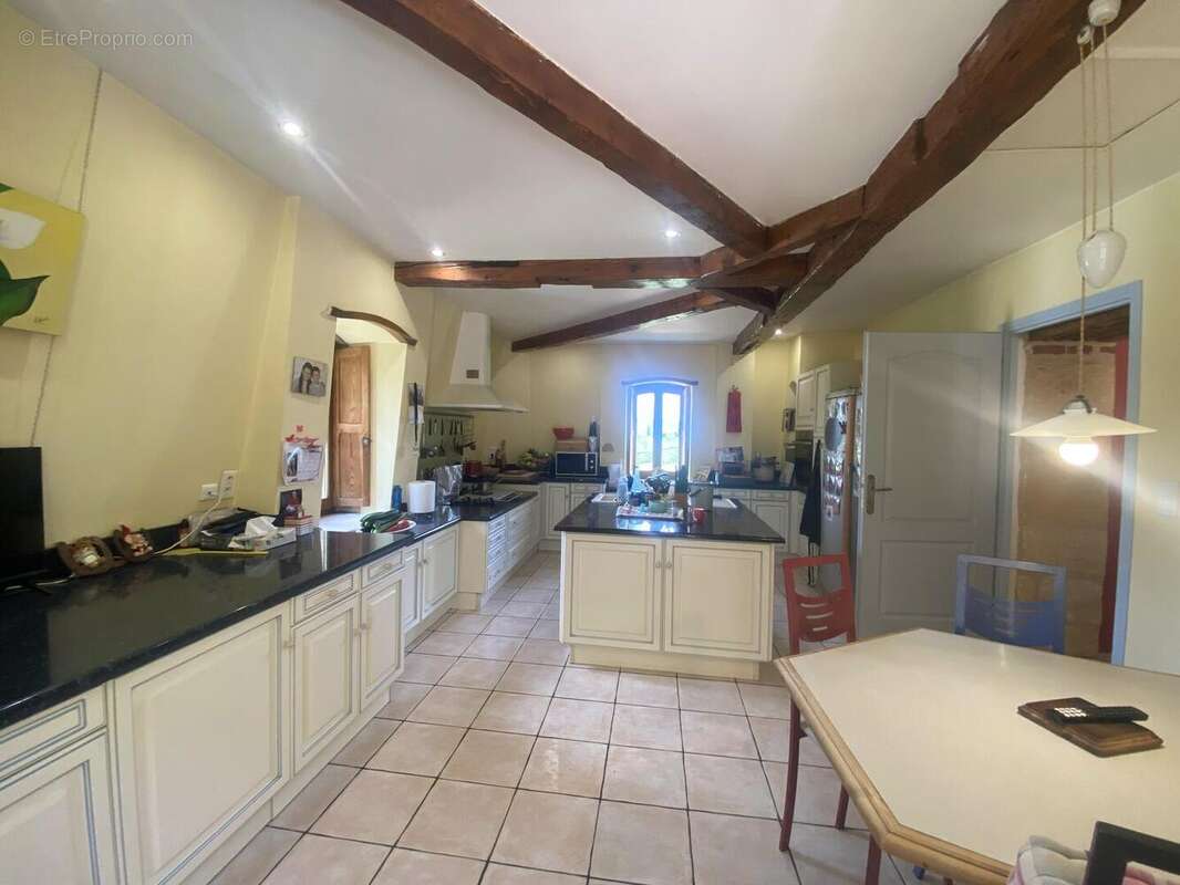 IMG8320 - Maison à SAINT-CYPRIEN