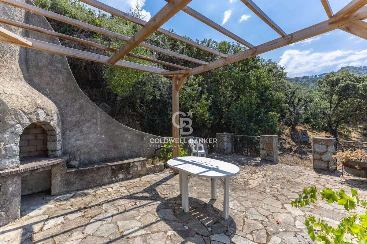 Corbara - Maison de caractère vue mer - Jardin & garage - photo 21