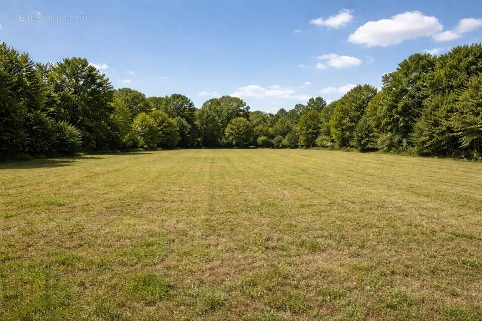 Terrain à RAZAC-SUR-L'ISLE