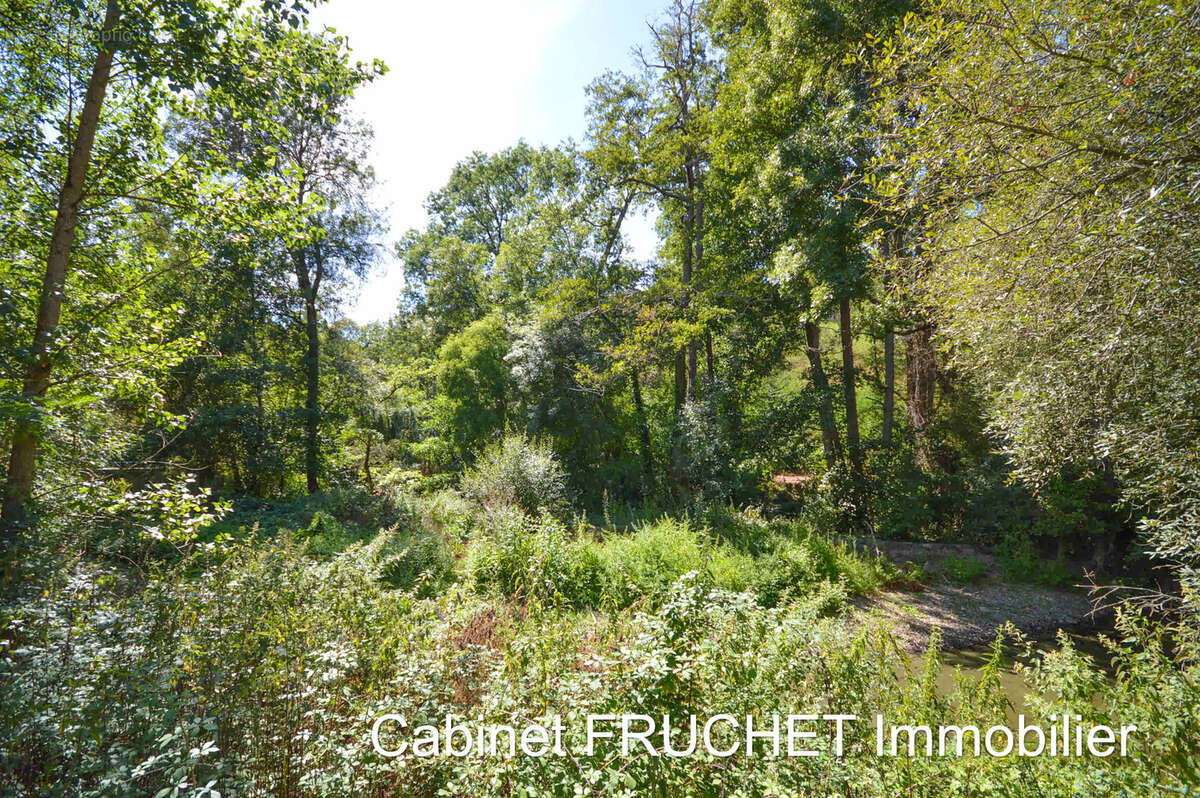 SAINTE-CECILE - RARE - Ensemble de deux moulins à eau - photo 14