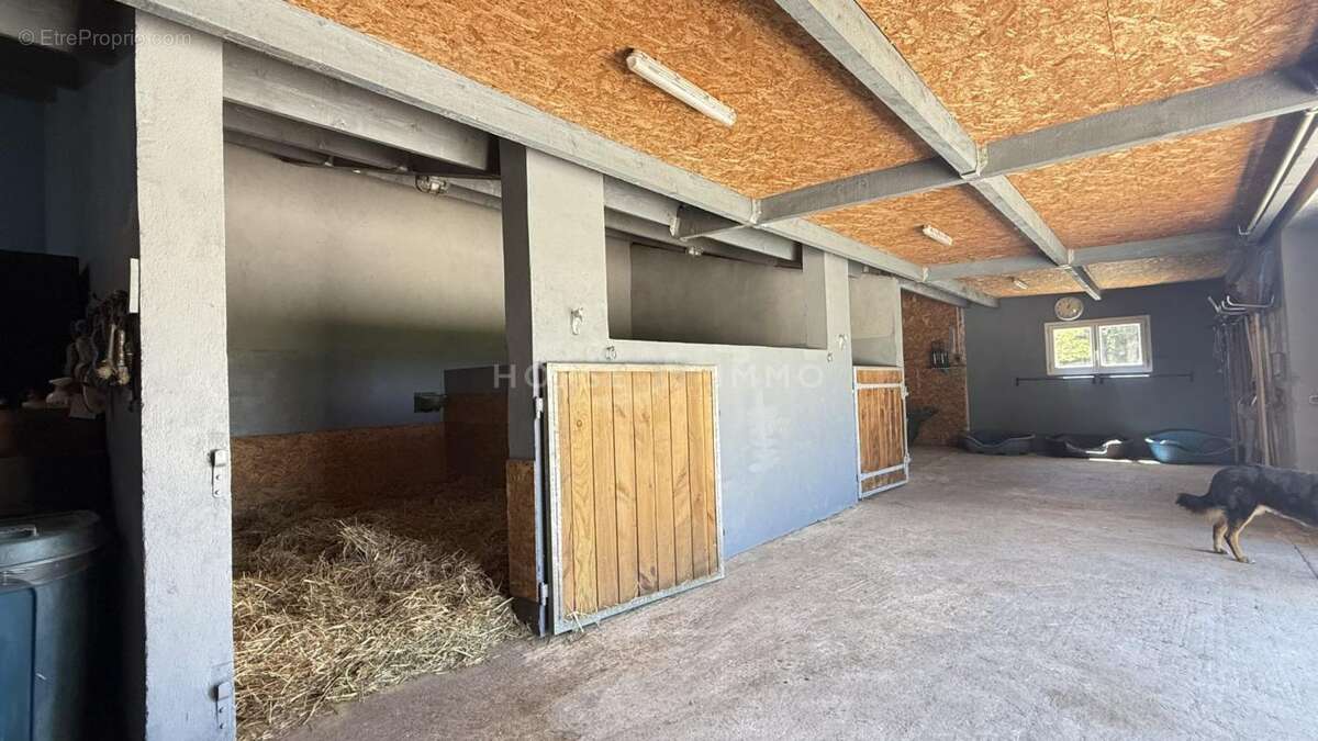 Propriété équestre de charme en campagne de Beaucaire - photo 13