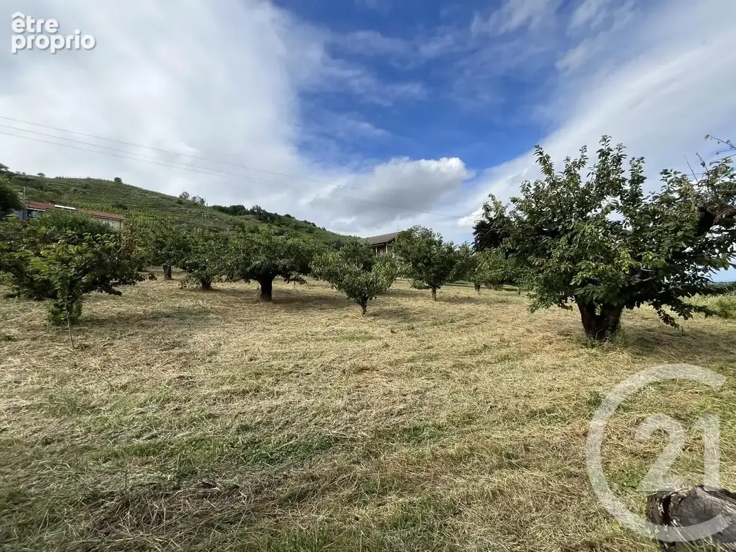 Terrain 2 215 m² à vendre à Saint-Desirat (07340) - photo 9