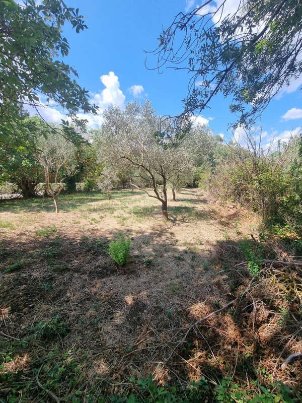 Mas à raphele - photo 26