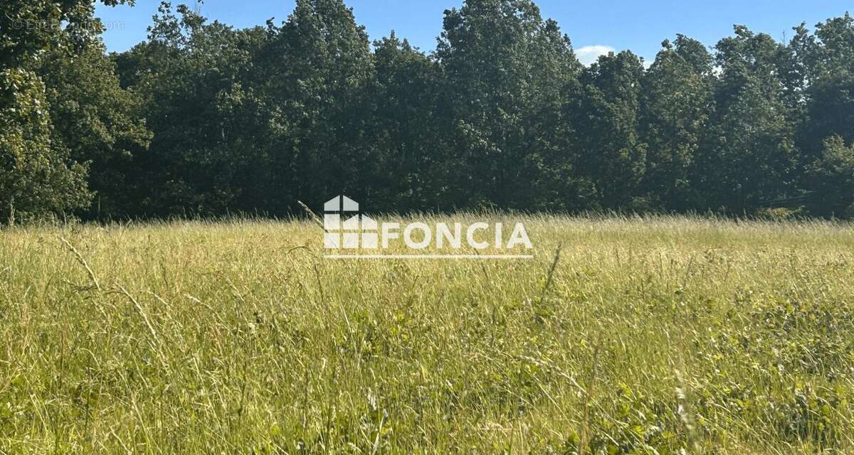 Buzet sur tarn - terrain d'exception  de 1000 m2 - photo 3