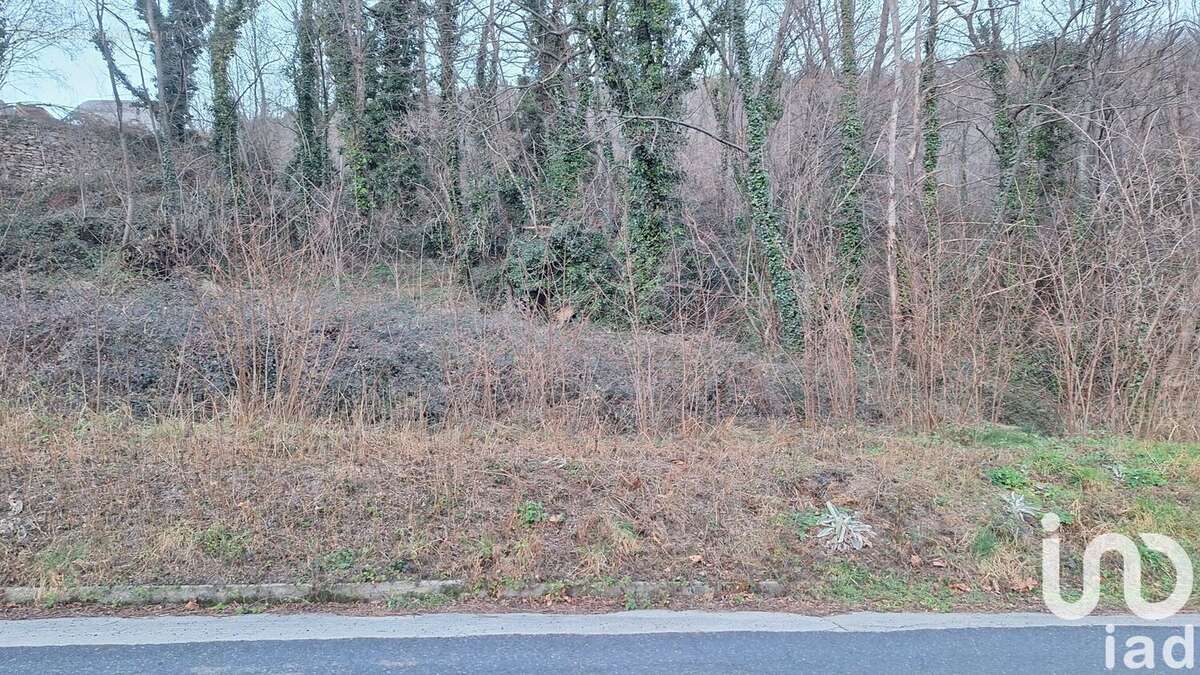 Photo 9 - Terrain à PRATS-DE-MOLLO-LA-PRESTE