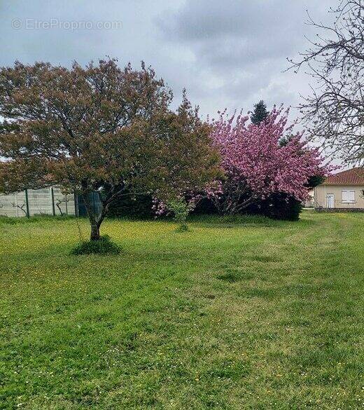 Terrain à SAUJON