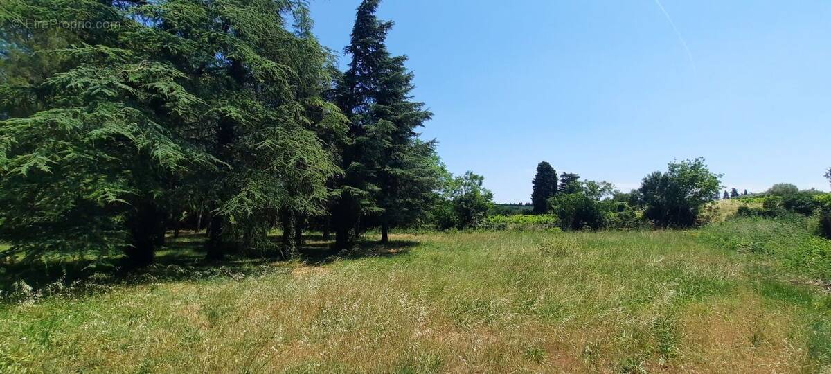 Terrain à APT
