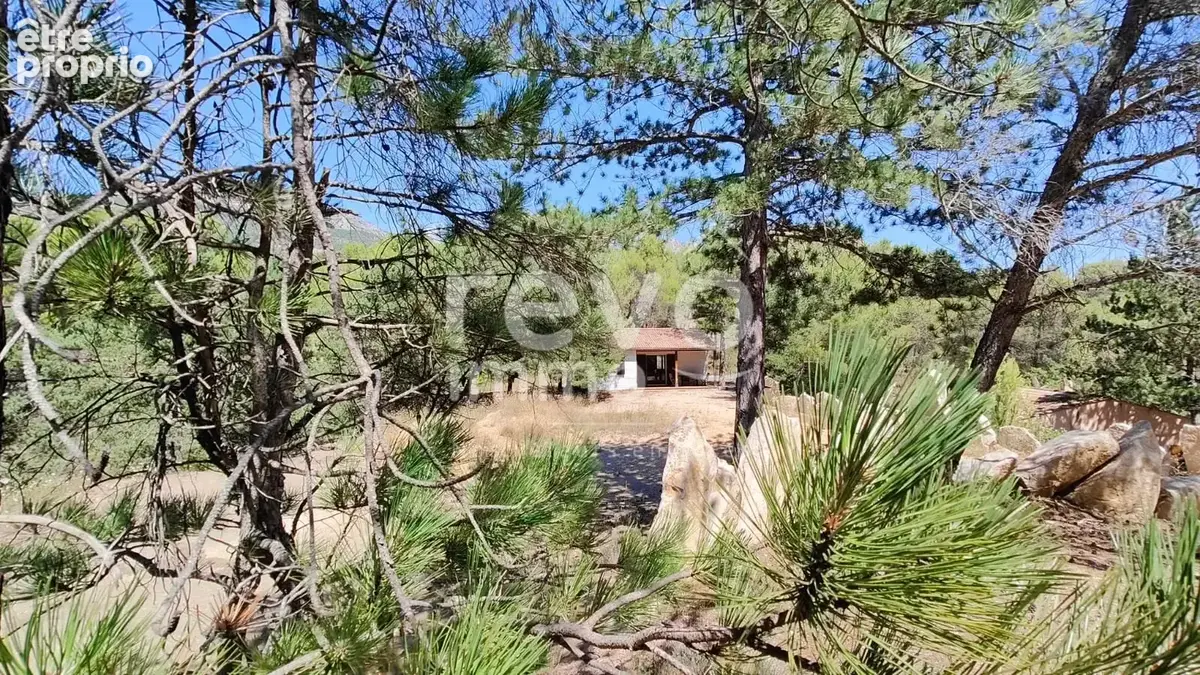 Un refuge entre le chant des pins et la lumière de la Provence... - photo 7