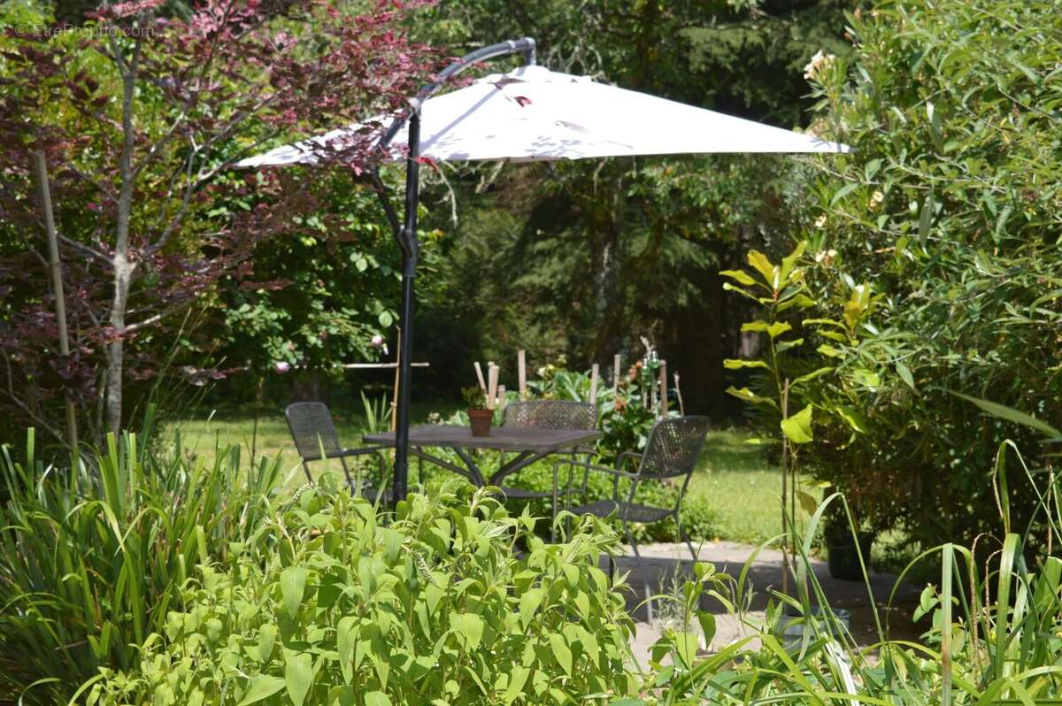 Maison à SAINT-ANTONIN-NOBLE-VAL